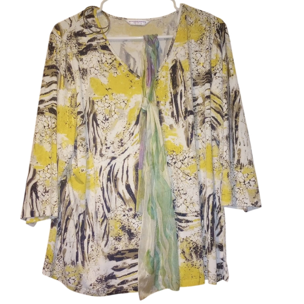 Allison Daley Women Size 1X Colorful Crew Neck Bundle And Earrings